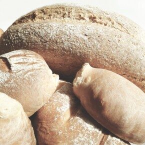 brood19-290x290-4518492